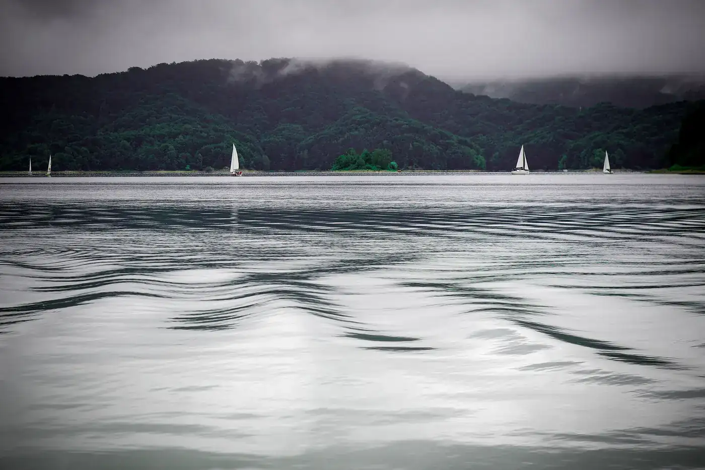 Veleiros a navegar ao largo com as velas içadas, vistos à distância.